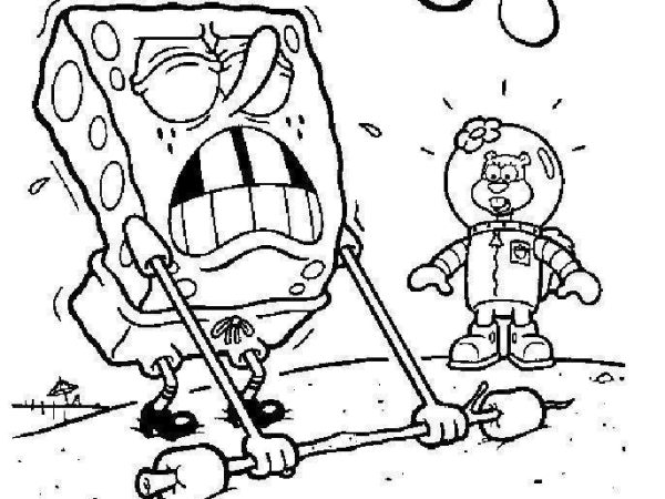 desenho bob esponja imprimir 33