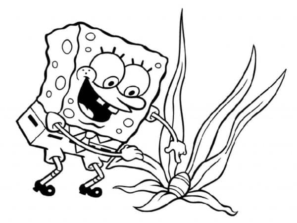 desenho bob esponja imprimir 35