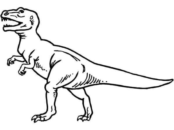 desenho dinossauro imprimir colorirr 04