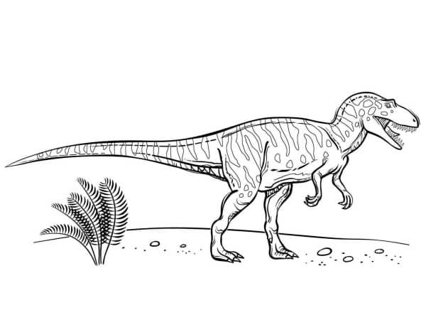 desenho dinossauro imprimir colorirr 05