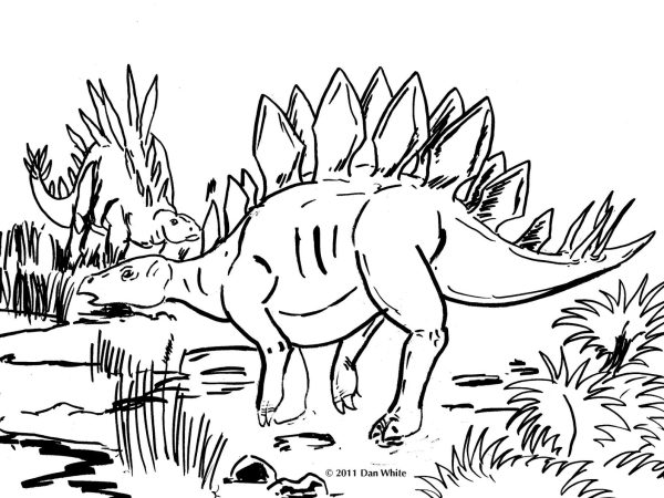 desenho dinossauro imprimir colorirr 08