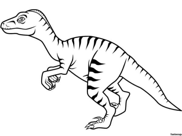 desenho dinossauro imprimir colorirr 11