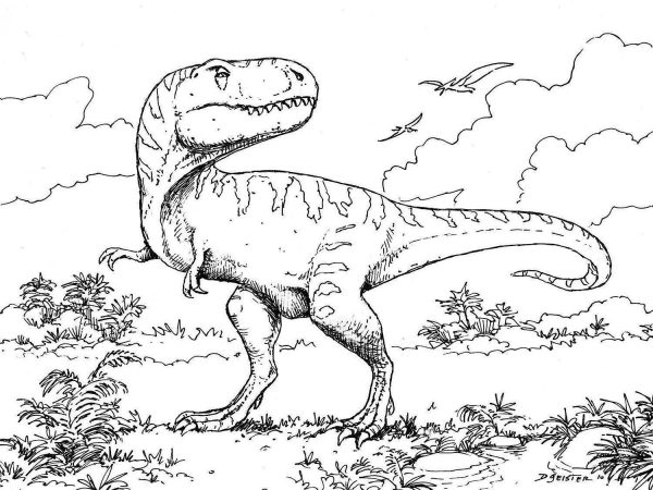 desenho dinossauro imprimir colorirr 12