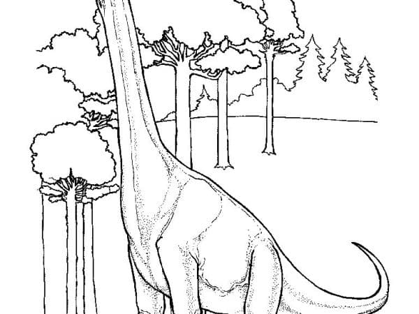 desenho dinossauro imprimir colorirr 13