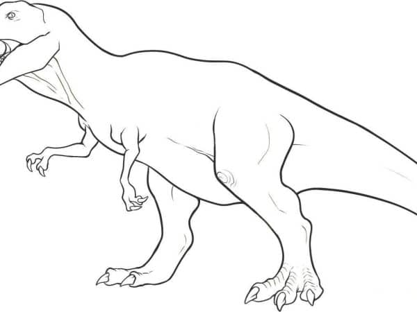 desenho dinossauro imprimir colorirr 16