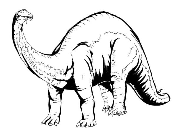 desenho dinossauro imprimir colorirr 20