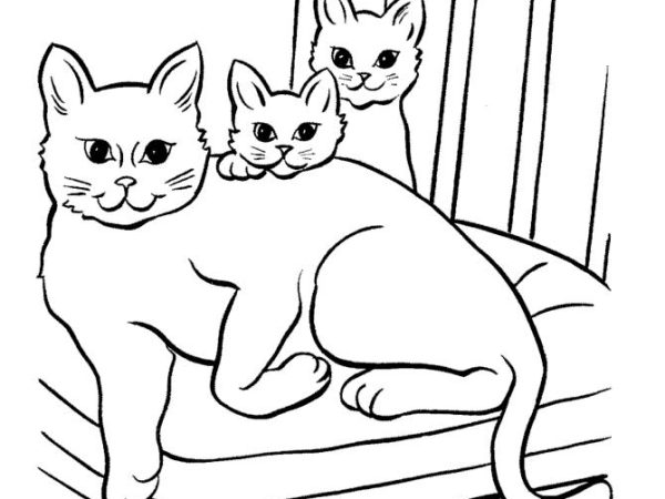 desenho gato imprimir1
