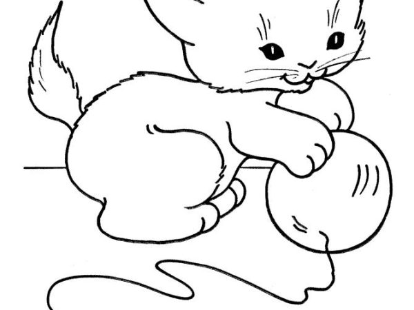 desenho gato imprimir10