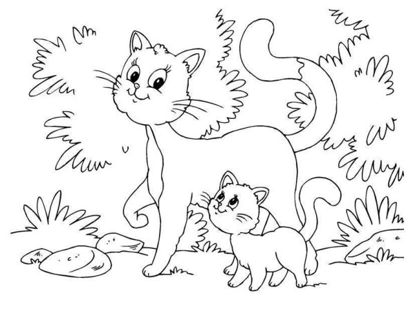 desenho gato imprimir17 1