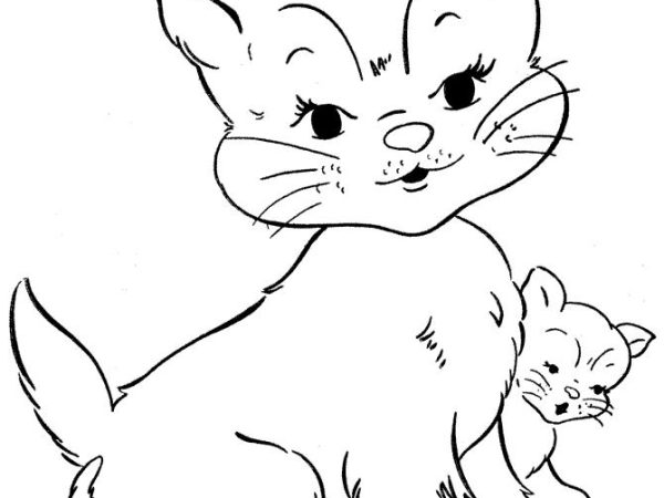 desenho gato imprimir19 1