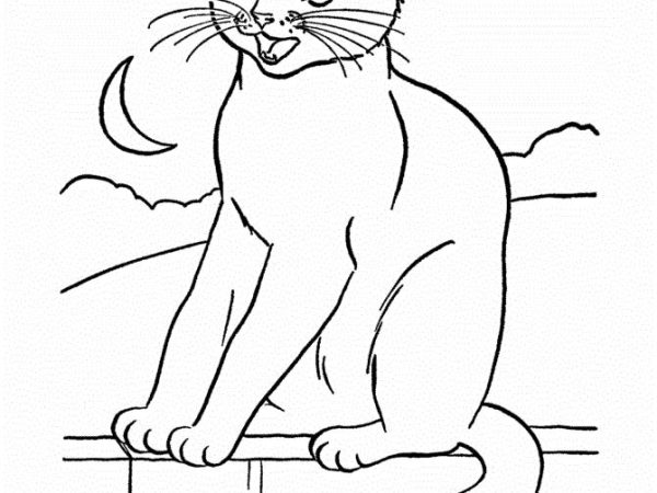 desenho gato imprimir3