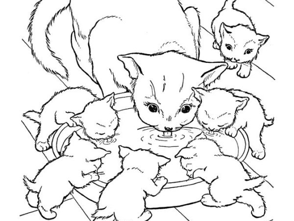 desenho gato imprimir8 1