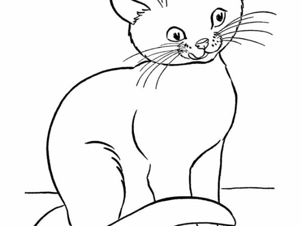 desenho gato imprimir9 1