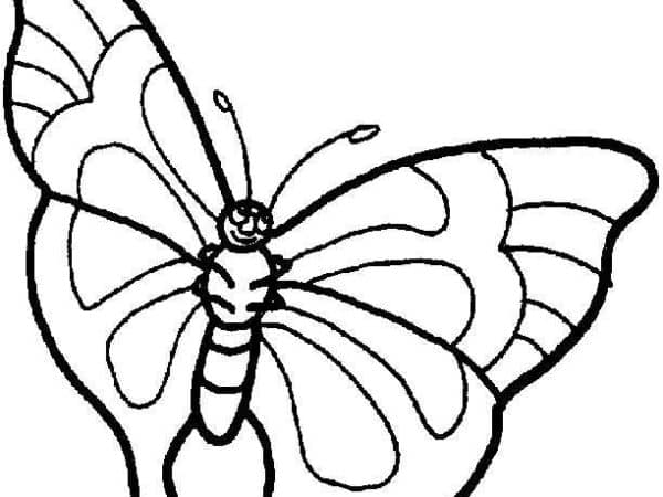 desenho borboleta imprimir pintar 01