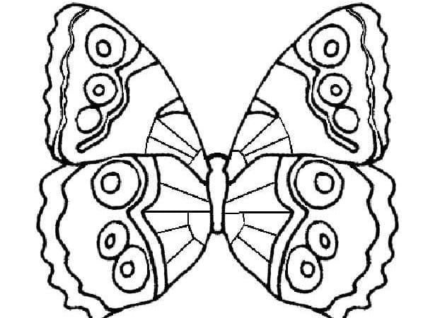 desenho borboleta imprimir pintar 04