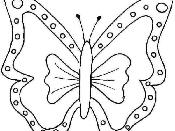 desenho borboleta imprimir pintar 05