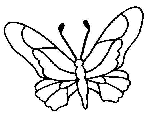 desenho borboleta imprimir pintar 07