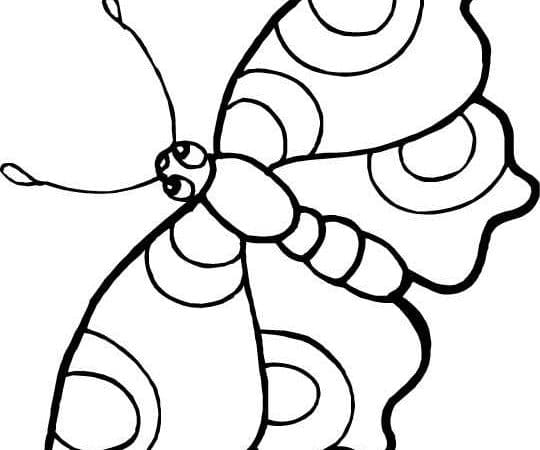 desenho borboleta imprimir pintar 10